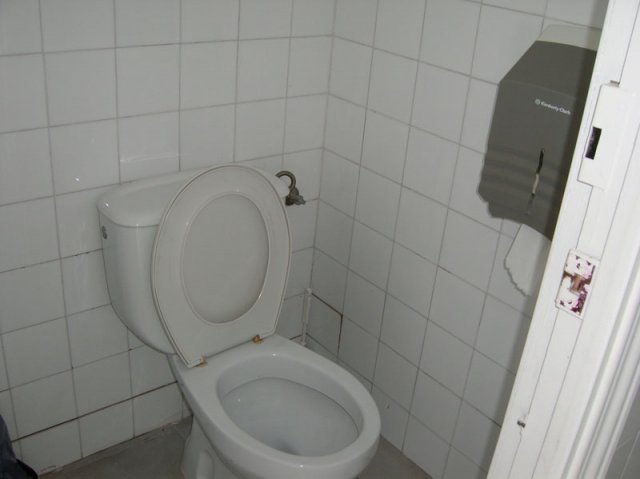 aseosepatiotraserofucares2